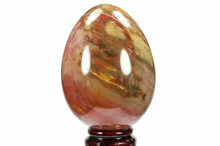 Colorful, Polished Petrified Wood Egg - Triassic #133929